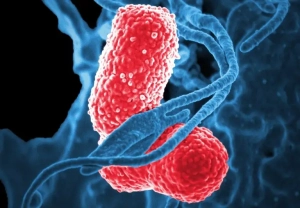 que hacemos en hydrolisis web